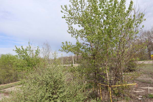 Irish Hills Area - May 1 2021 (newer photo)